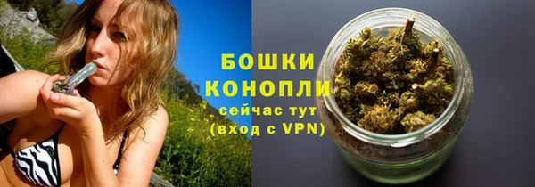 PSILOCYBIN Няндома