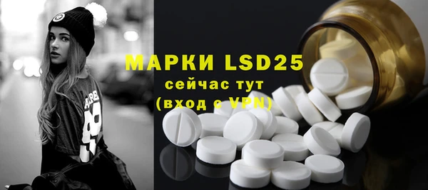 PSILOCYBIN Няндома