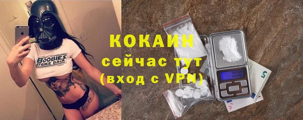 прущие грибы Нязепетровск