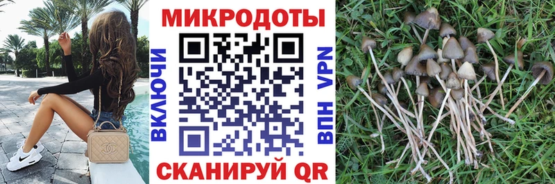 ссылка на мегу как зайти  Камешково  Псилоцибиновые грибы Psilocybine cubensis 
